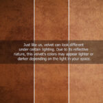 ⁦Lounge Sofa⁩ - الصورة ⁦7⁩