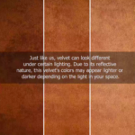 ⁦Royal Dream⁩ - الصورة ⁦13⁩