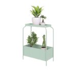 ⁦Imperial King⁩ - الصورة ⁦4⁩