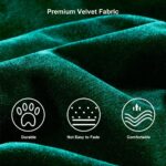 ⁦VILA⁩ - الصورة ⁦10⁩