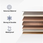 ⁦ALVA⁩ - الصورة ⁦3⁩