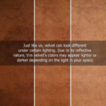 ⁦EIKEN⁩ - الصورة ⁦8⁩