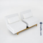 ⁦Noble King⁩ - الصورة ⁦7⁩