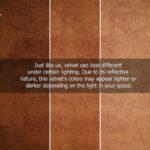 ⁦Classic Majesty⁩ - الصورة ⁦4⁩