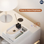 ⁦HAZA⁩ - الصورة ⁦8⁩