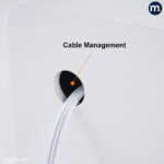 ⁦LINA⁩ - الصورة ⁦10⁩